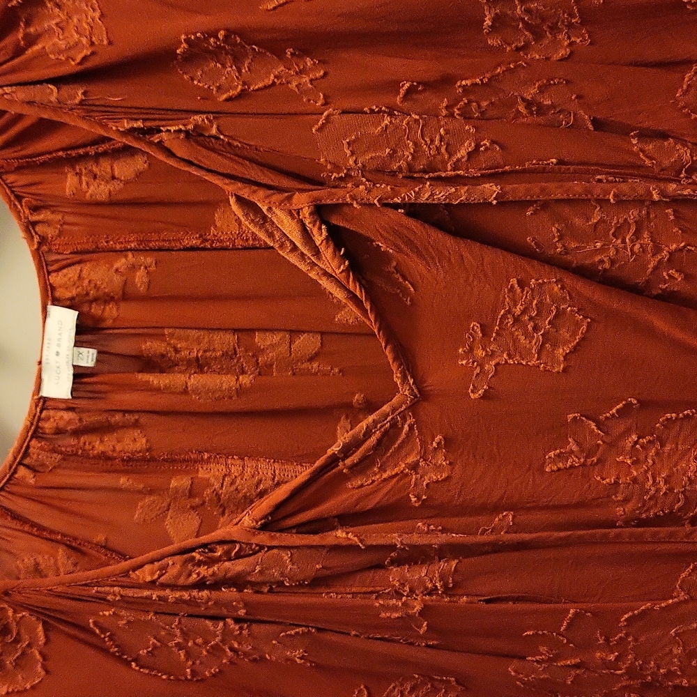 Rust color blouse